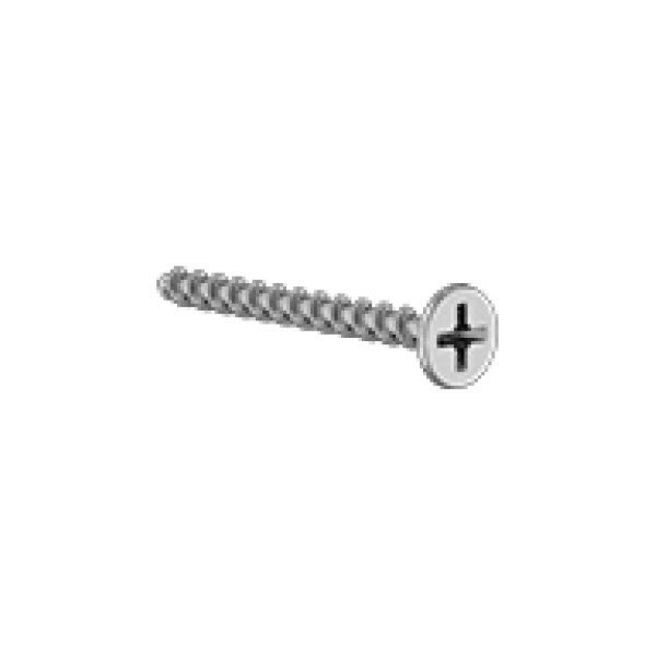 Drywall Screw