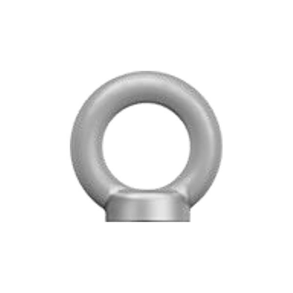 Eye Nut